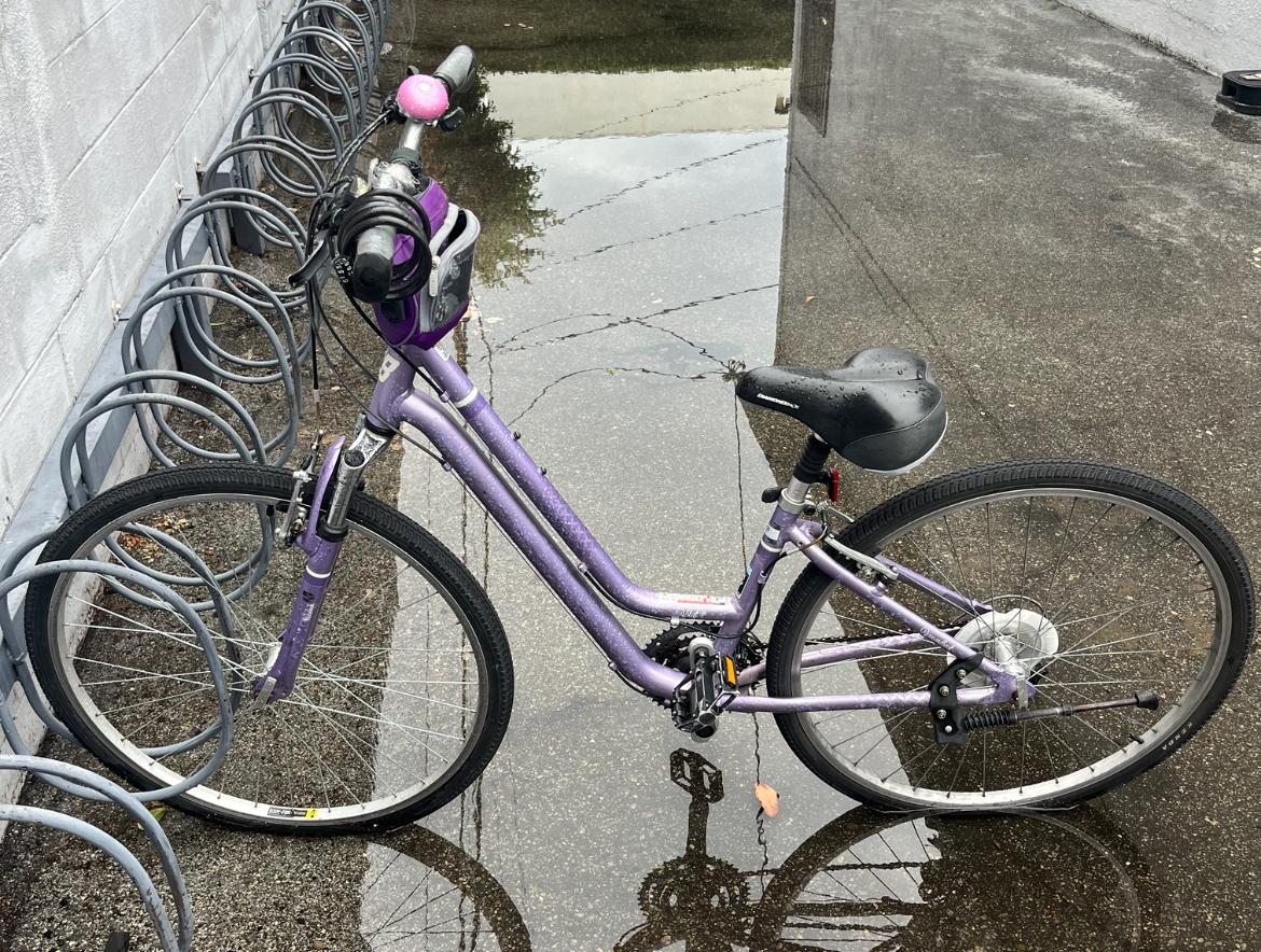 2017 Diamondback Purple