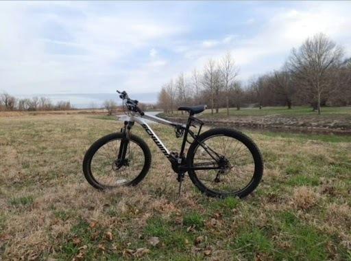 2021 Schwinn S5728WMD Silver, gray or bare metal