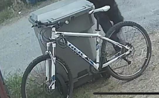 Trek Mamba White and Blue