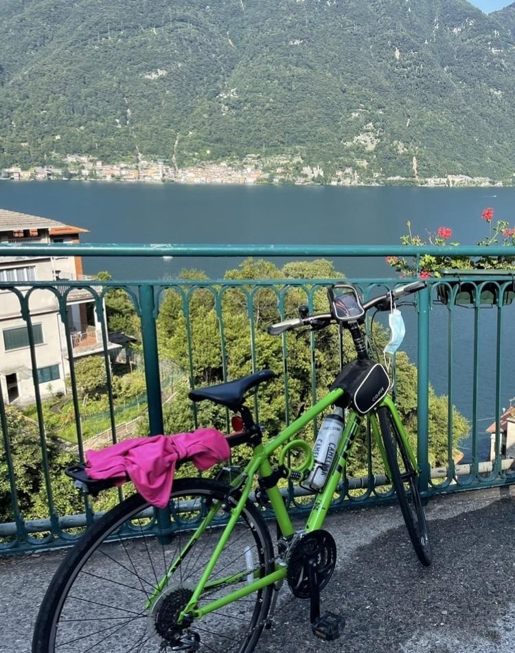 2015 Trek 7.3 FX Green