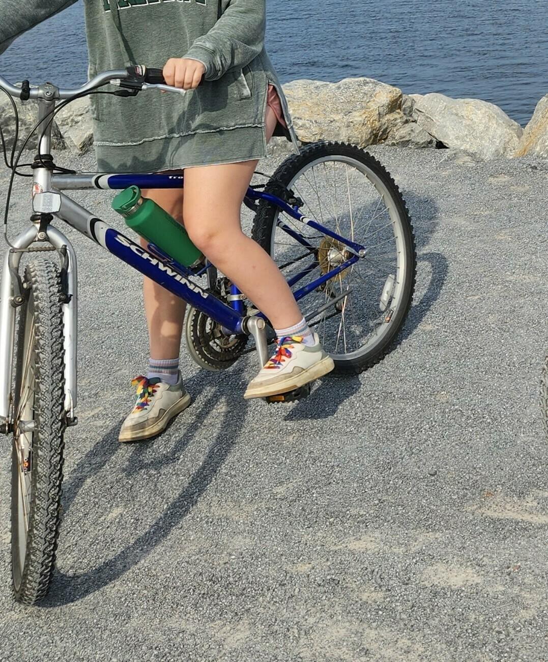 Schwinn Blue and Silver, gray or bare metal
