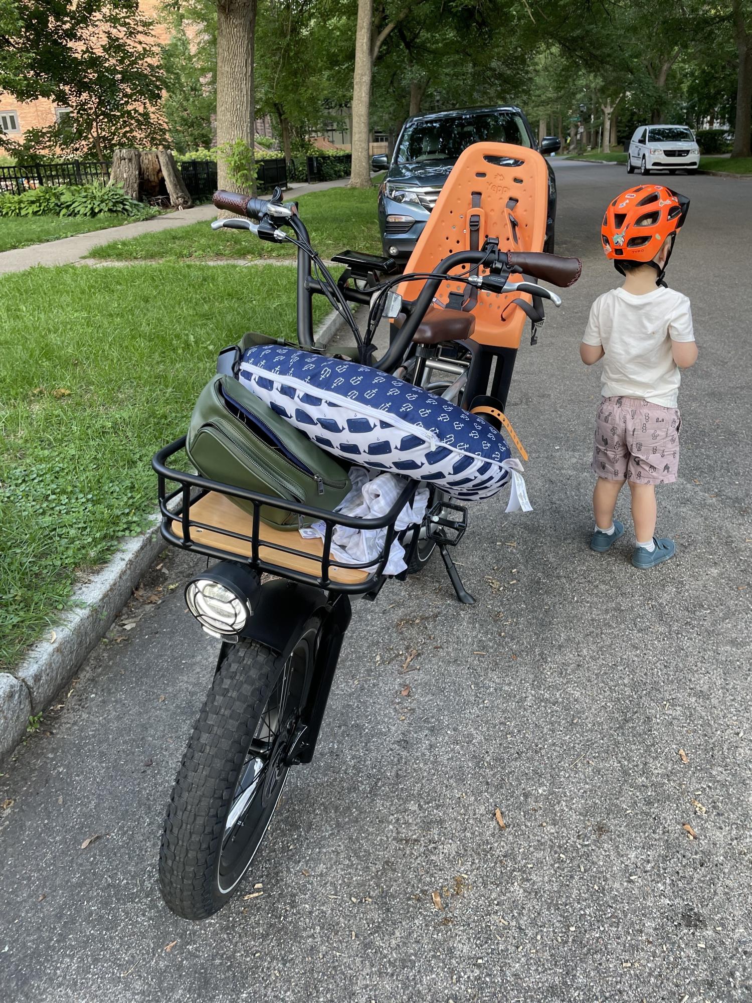 2022 Rad Power Bikes RadRunner Plus Electric Utility Bike Silver, gray or bare metal