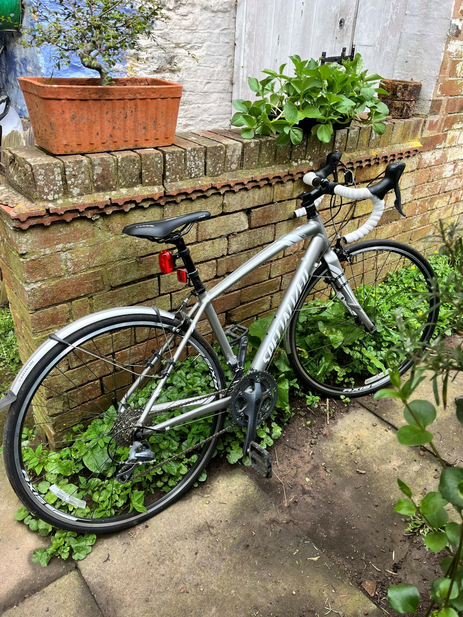 Specialized Dolce Silver, gray or bare metal