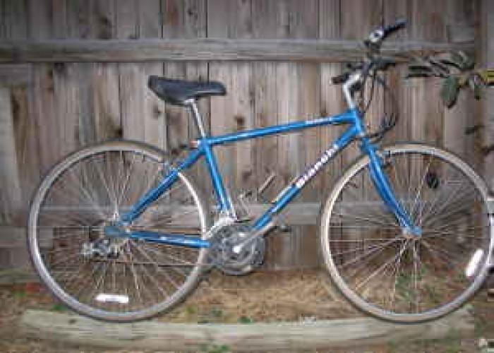 Bianchi Avenue  Teal