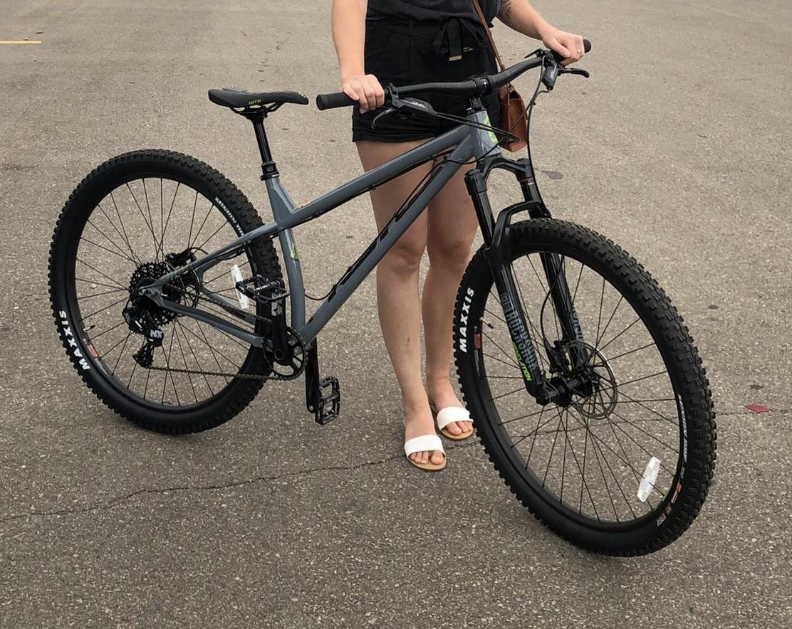 2020 Kona Honzo Silver, gray or bare metal