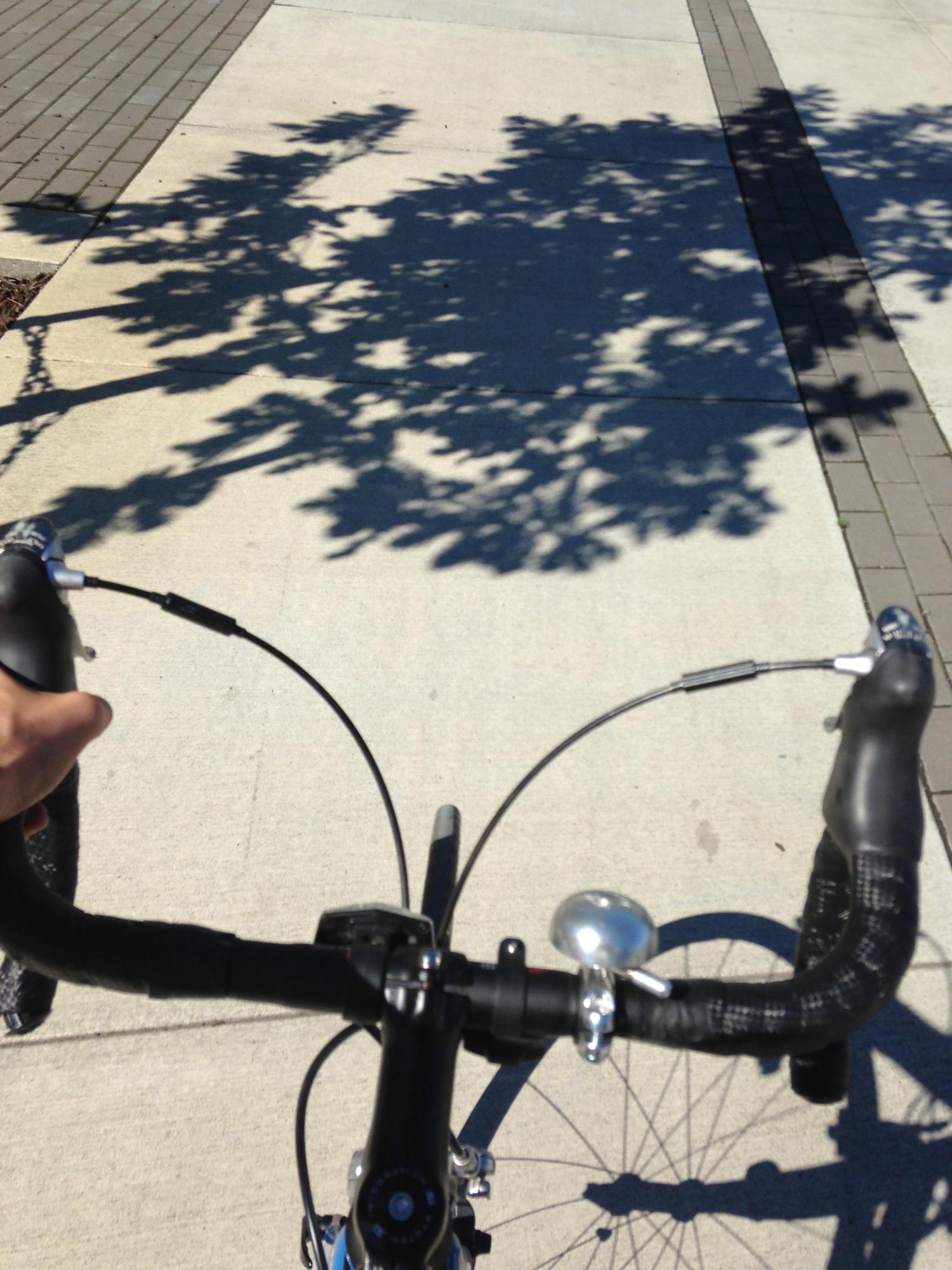 2010 Cannondale  Blue