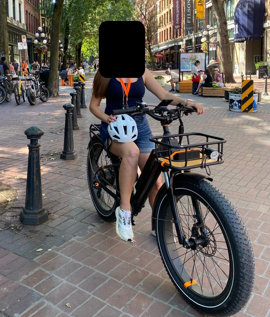 2022 Rad Power Bikes Rad Rover 6 Plus Electric Fat Tire Bi... Silver, gray or bare metal and Black