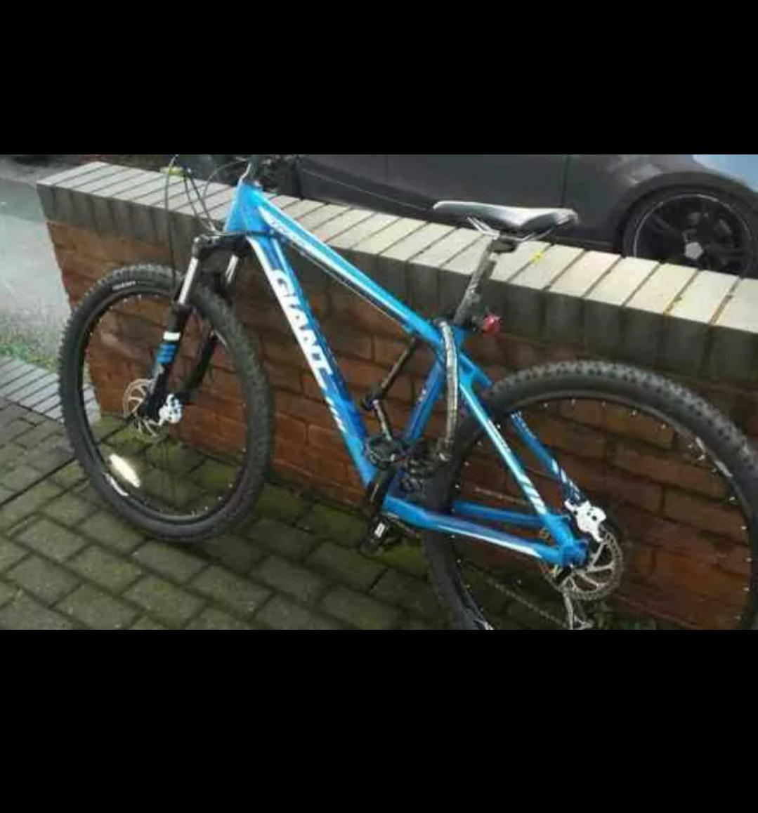 2013 Giant c63r1549  Blue