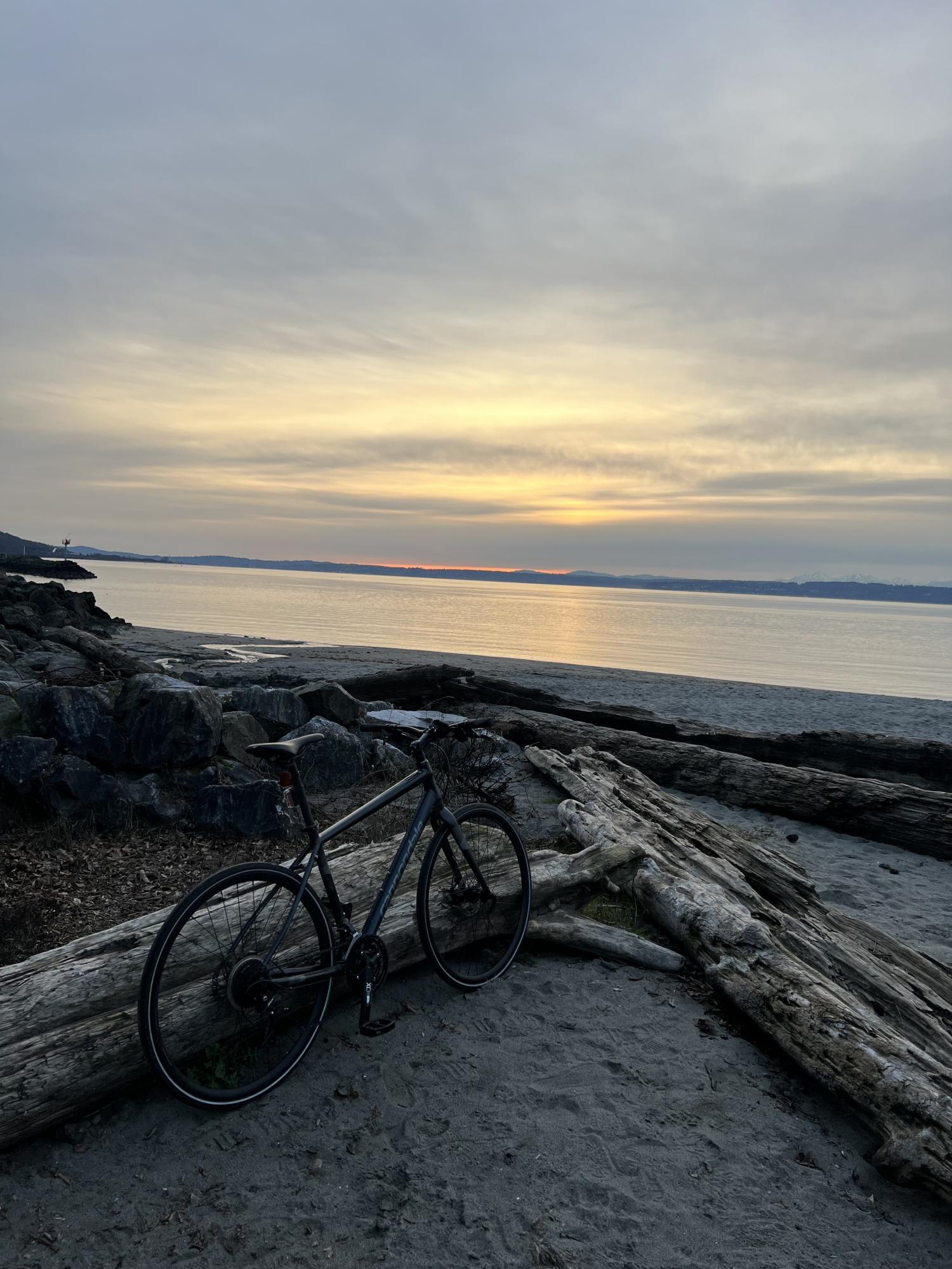 2019 Cannondale Quick Disc 4 Silver, gray or bare metal