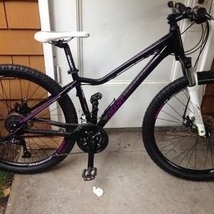2013 Giant Revel 1 Purple, Black, and White