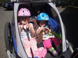 Kidarooz Bike Trailer  Black
