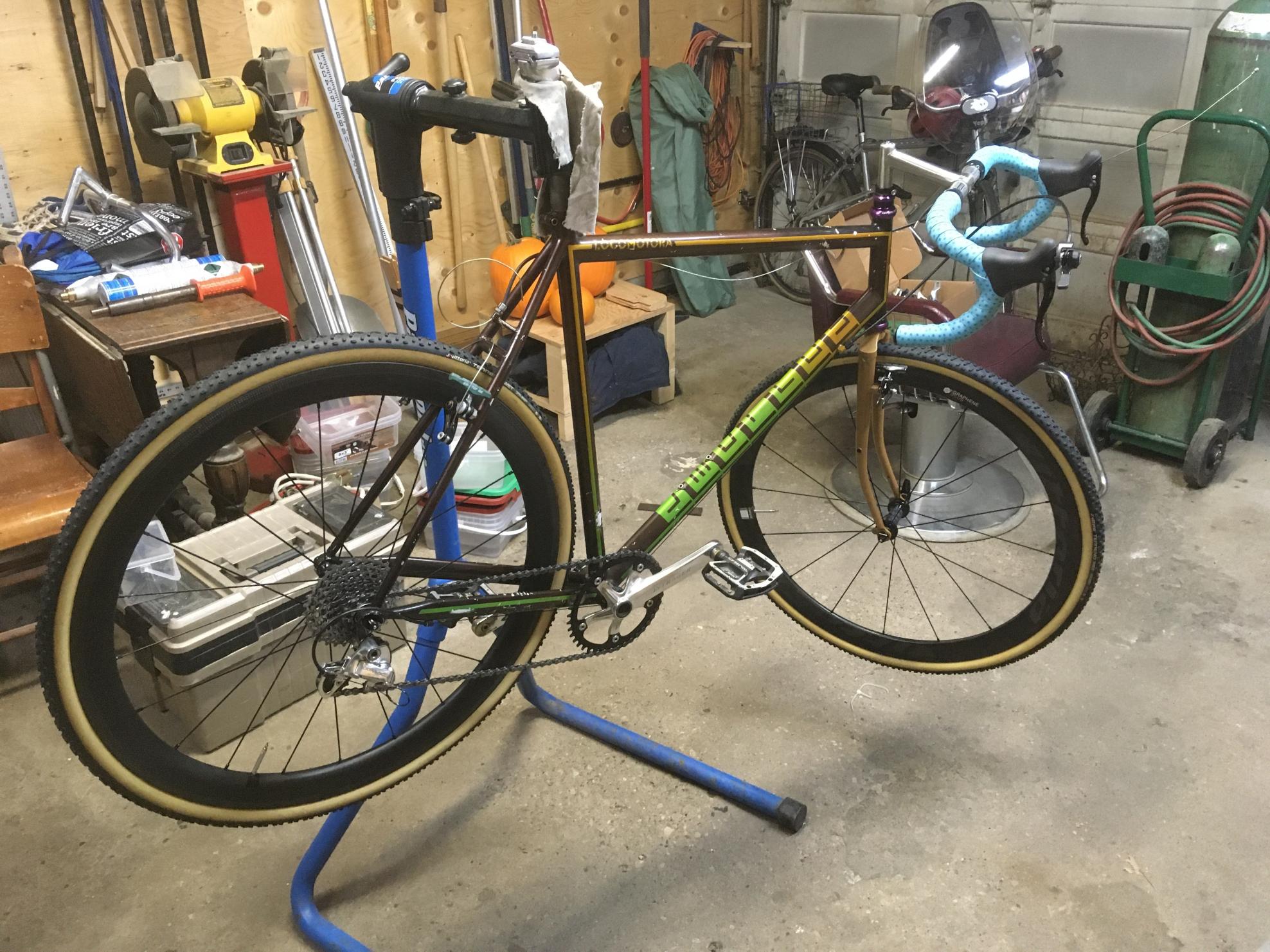 Moulden locomotora Brown