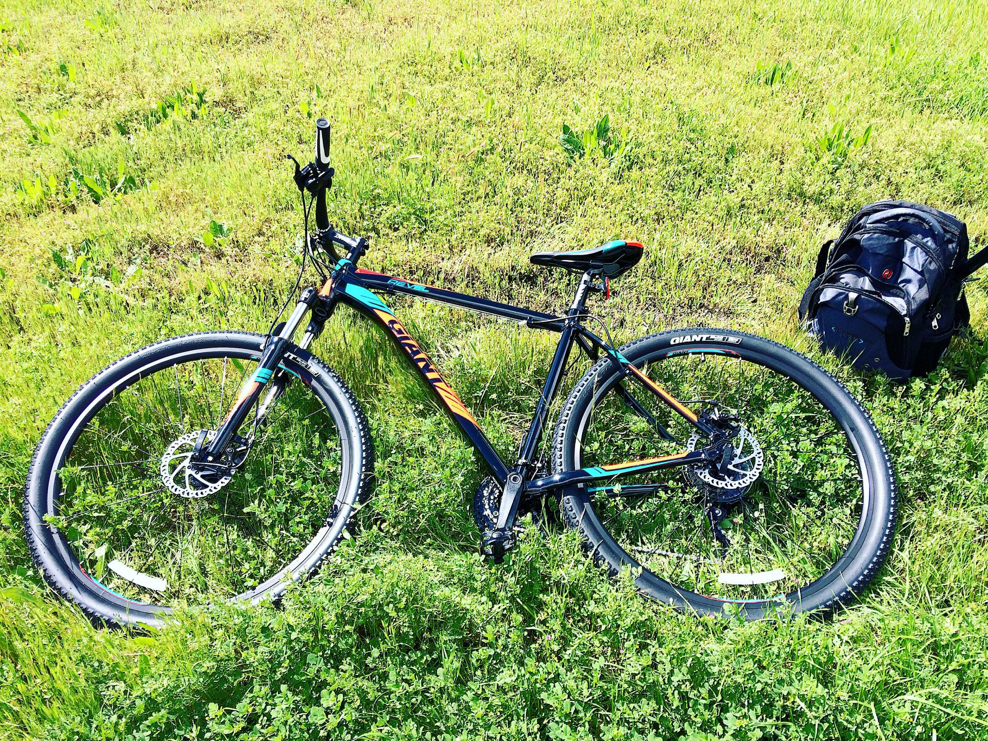 2017 Giant Revel 29er 2 XL Black