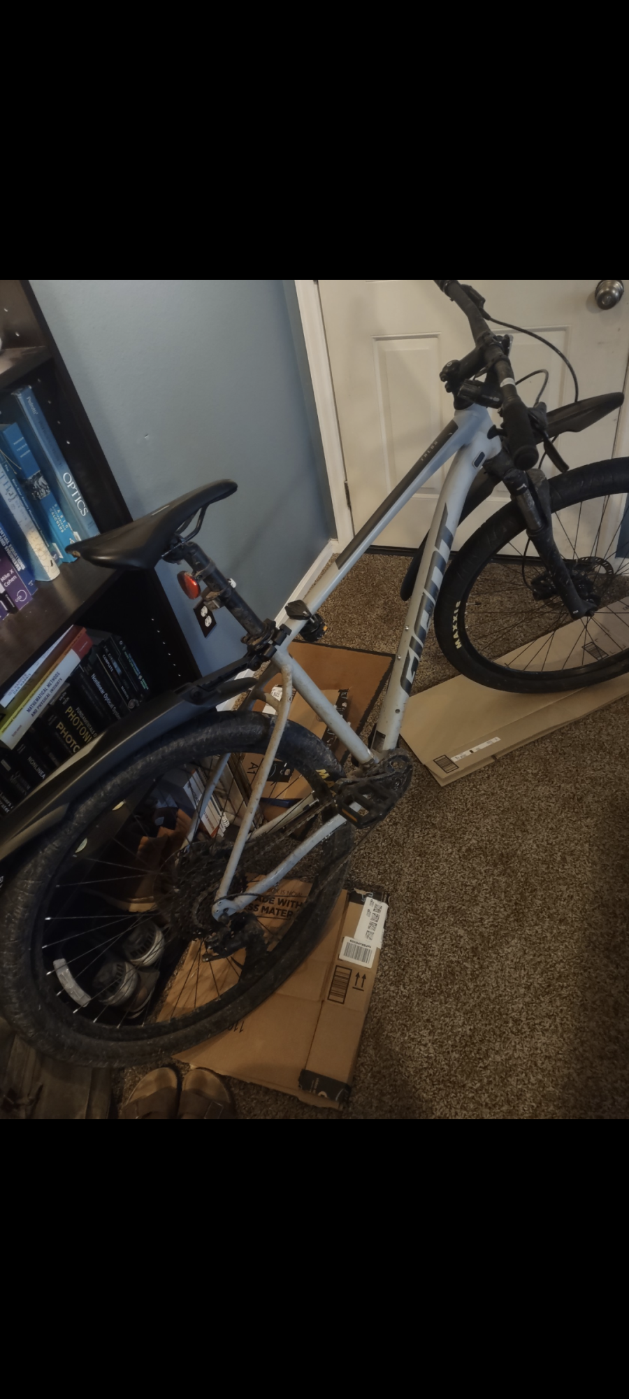 2022 Giant Talon 2 Silver, gray or bare metal