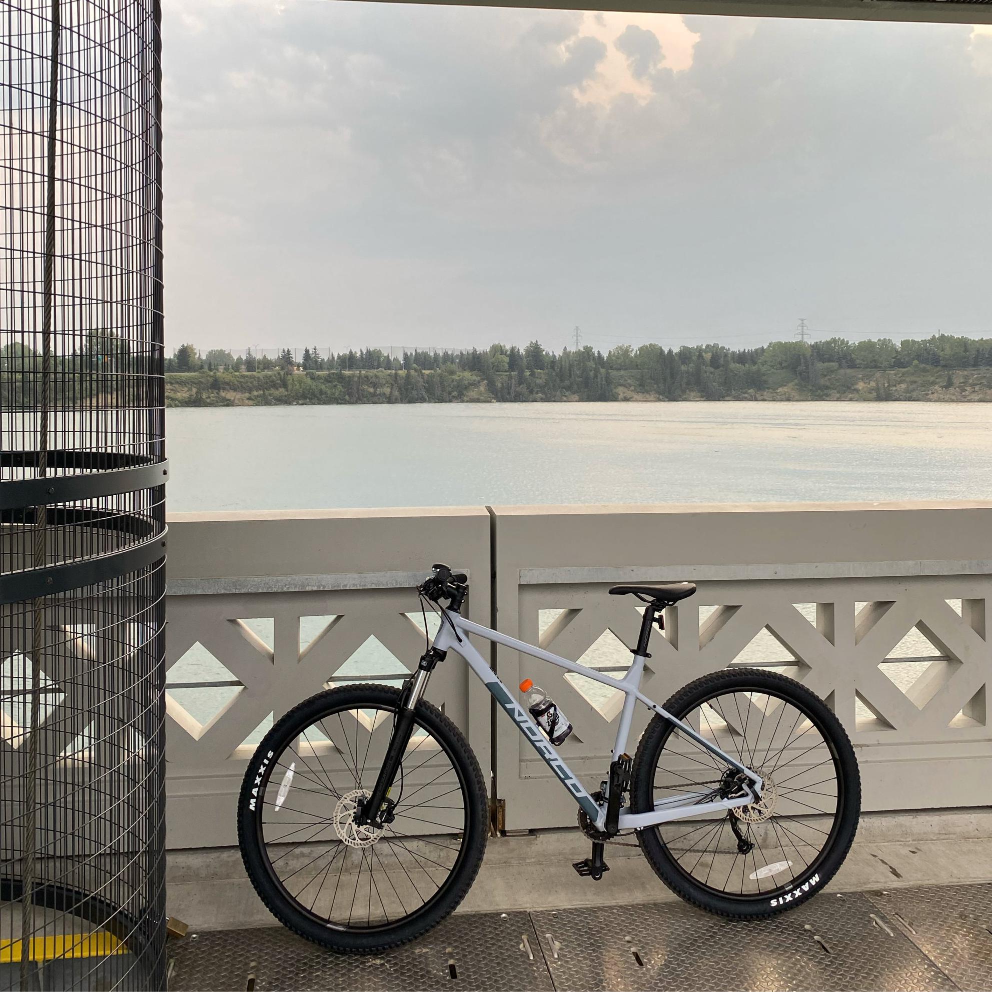 2021 Norco Bikes Storm Silver, gray or bare metal and Black