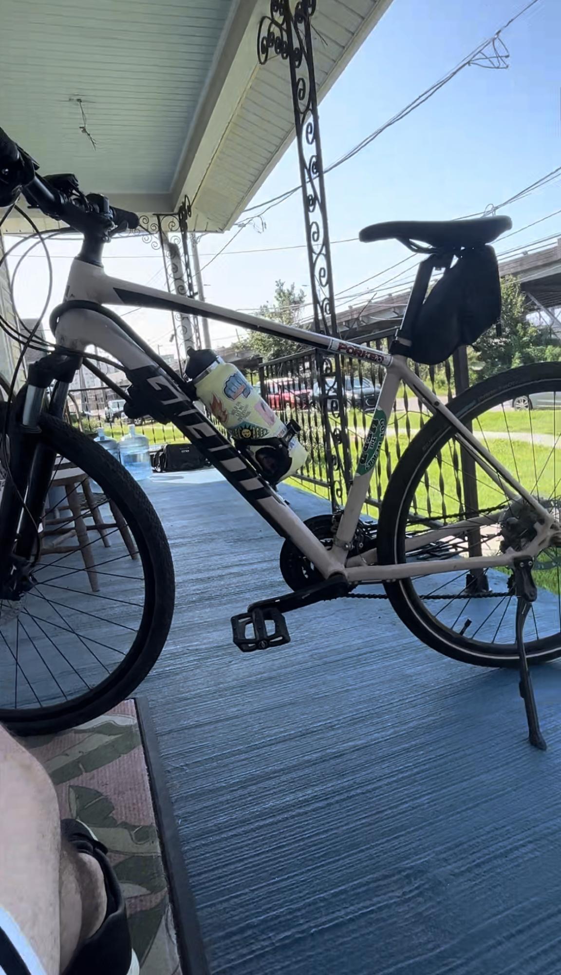 Giant Cypress Silver, gray or bare metal