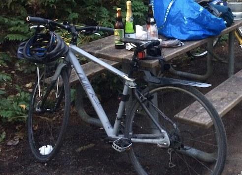 2009 Cannondale Quick  Silver or Gray