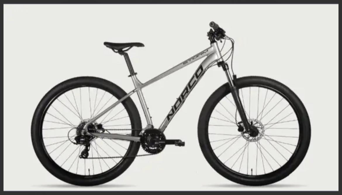 2021 Norco Bikes Storm 5 Silver, gray or bare metal