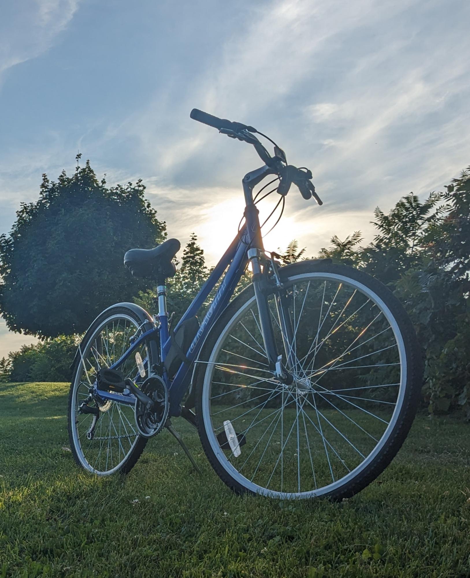 2023 Gravity Dutch Blue