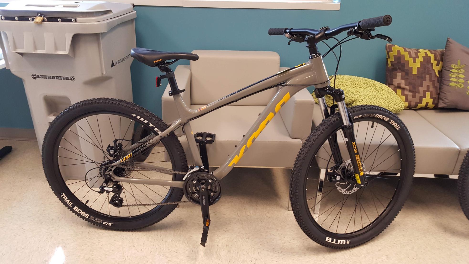 2019 Kona Lanai Silver, gray or bare metal