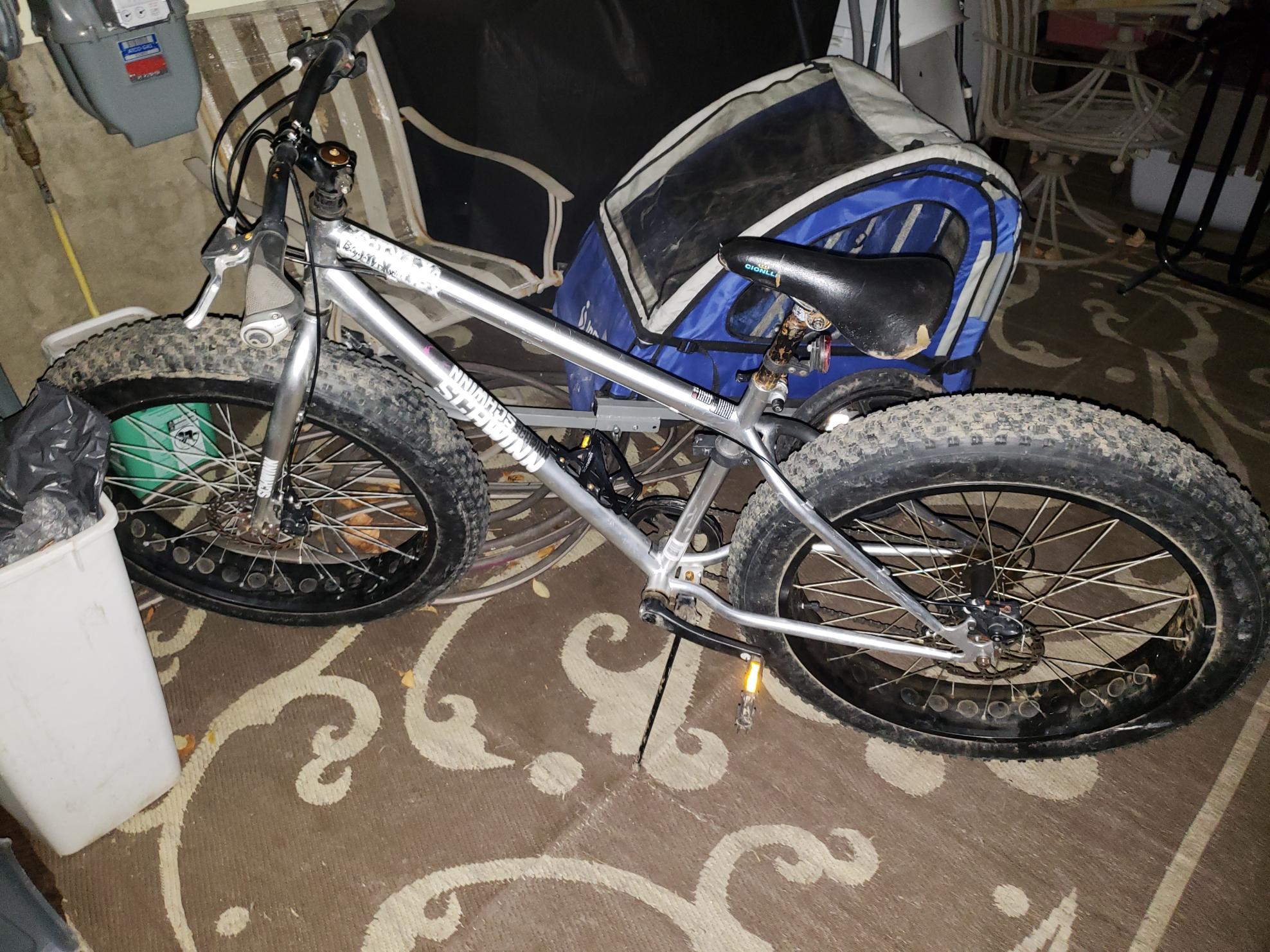 2017 Schwinn Bigfoot⁸ Silver, gray or bare metal and Black