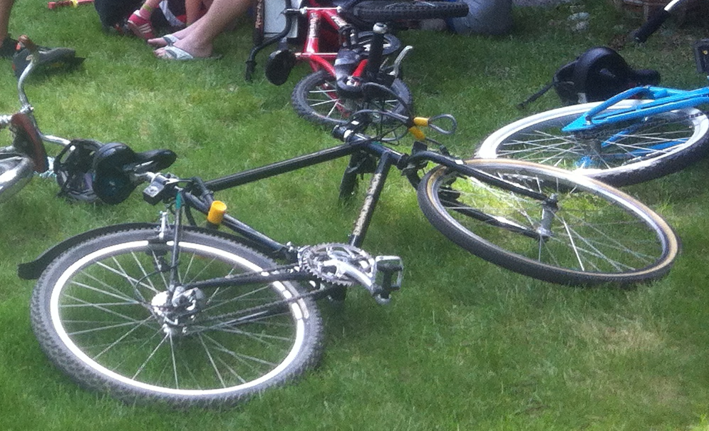 1994 Diamondback Ascent  Green and Black