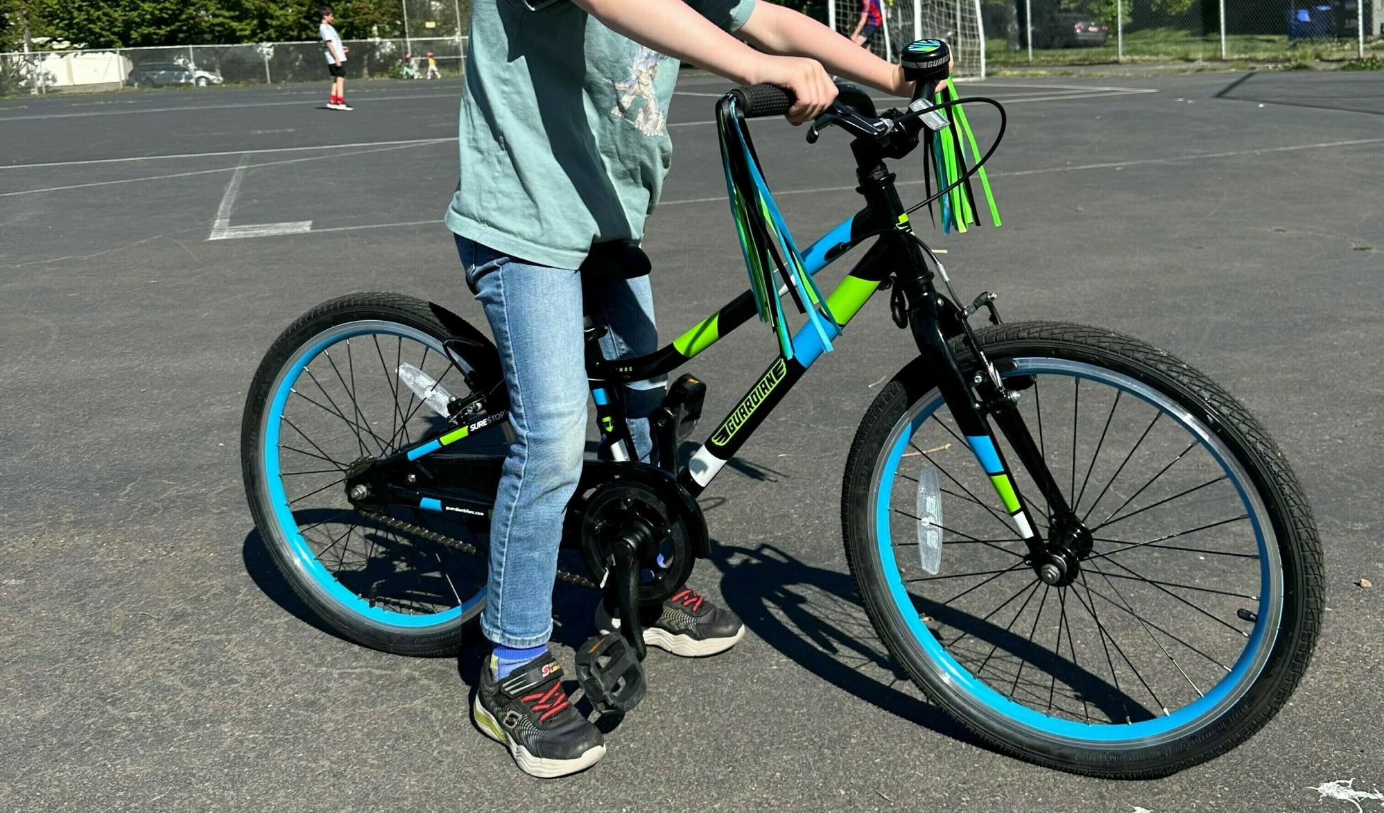 2024 Guardian Guardian 20 Inch Small Bike Black, Blue, and Green