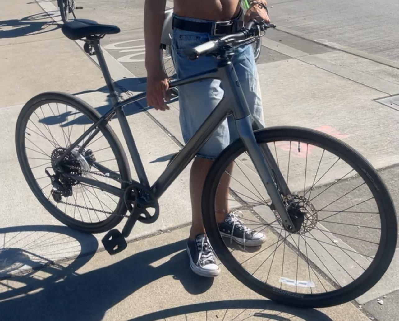 2024 Trek Hybrid Silver, gray or bare metal