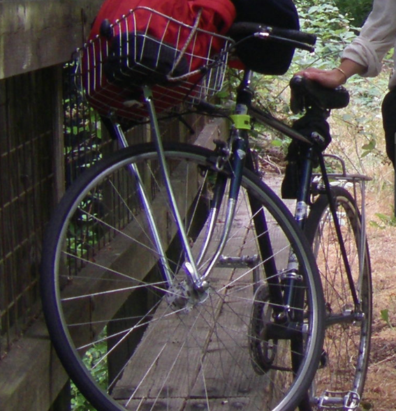 Shimano  Shimano   Blue