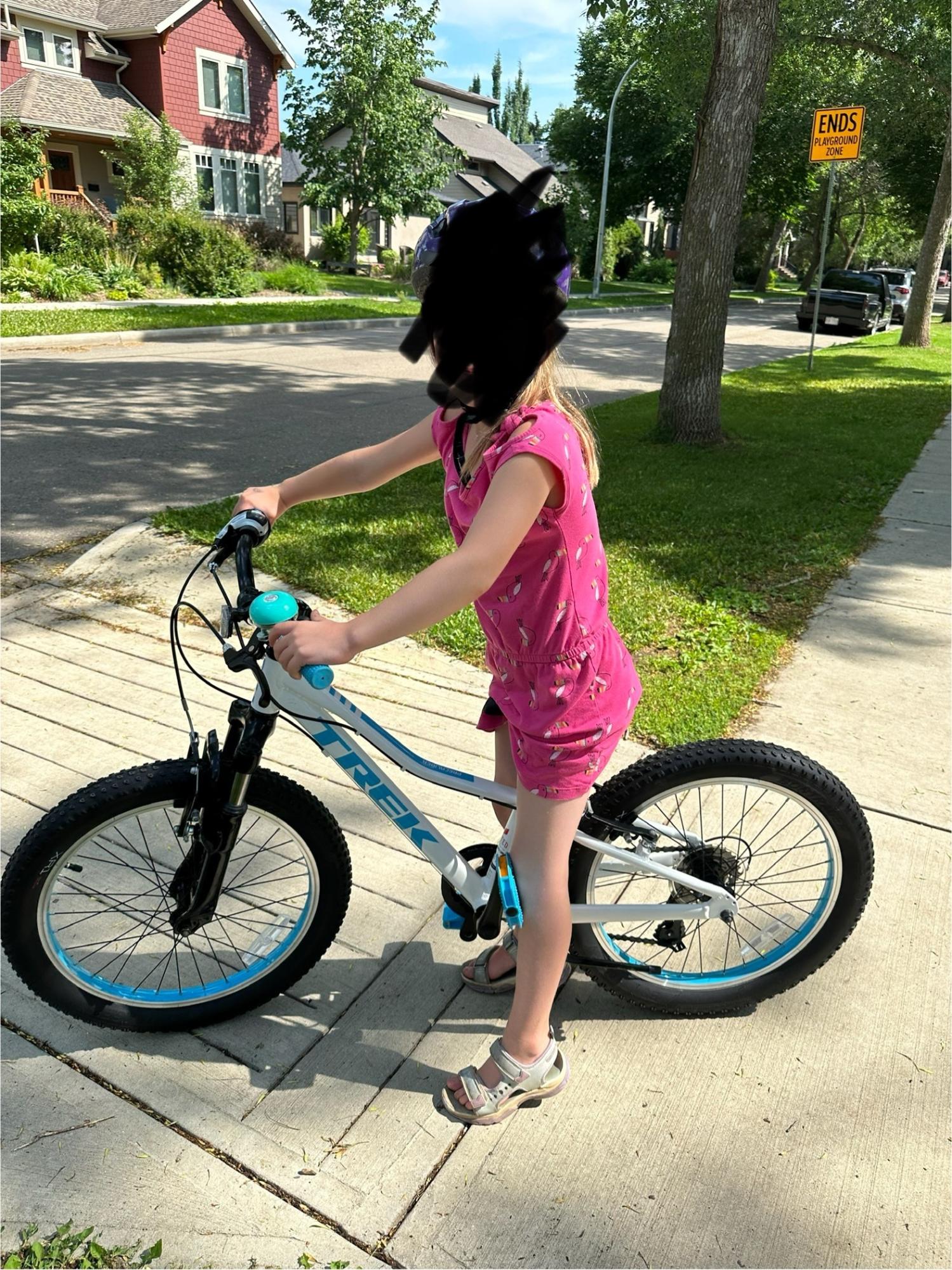 2023 Trek ISO-42IO-2 White and Teal