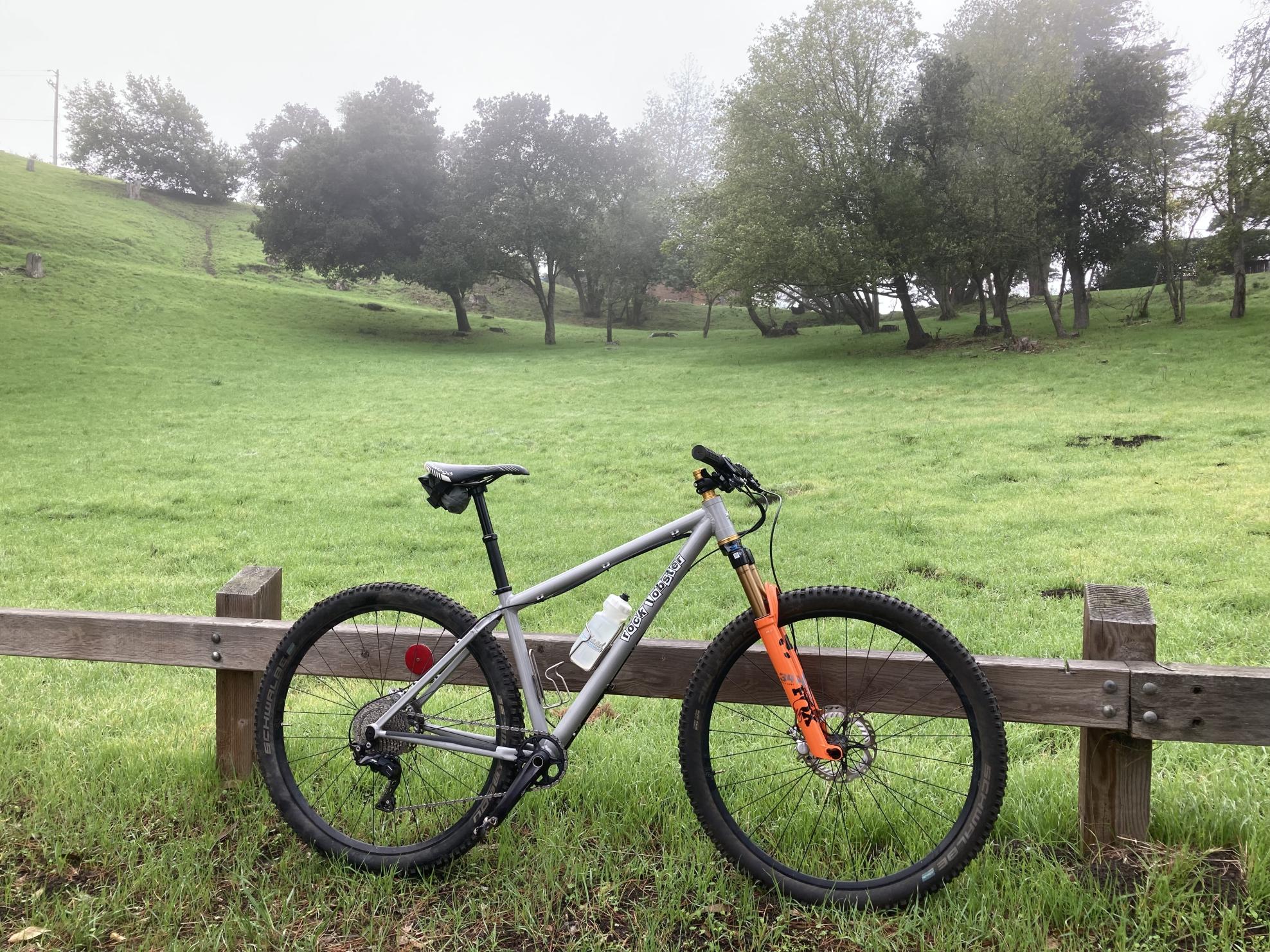 2021 Rock Lobster MTB Silver, gray or bare metal