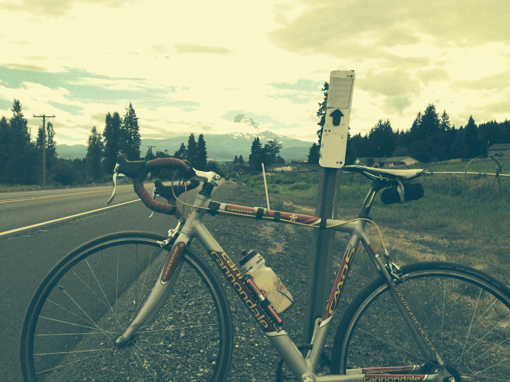 2003 Cannondale Major Taylor Silver or Gray