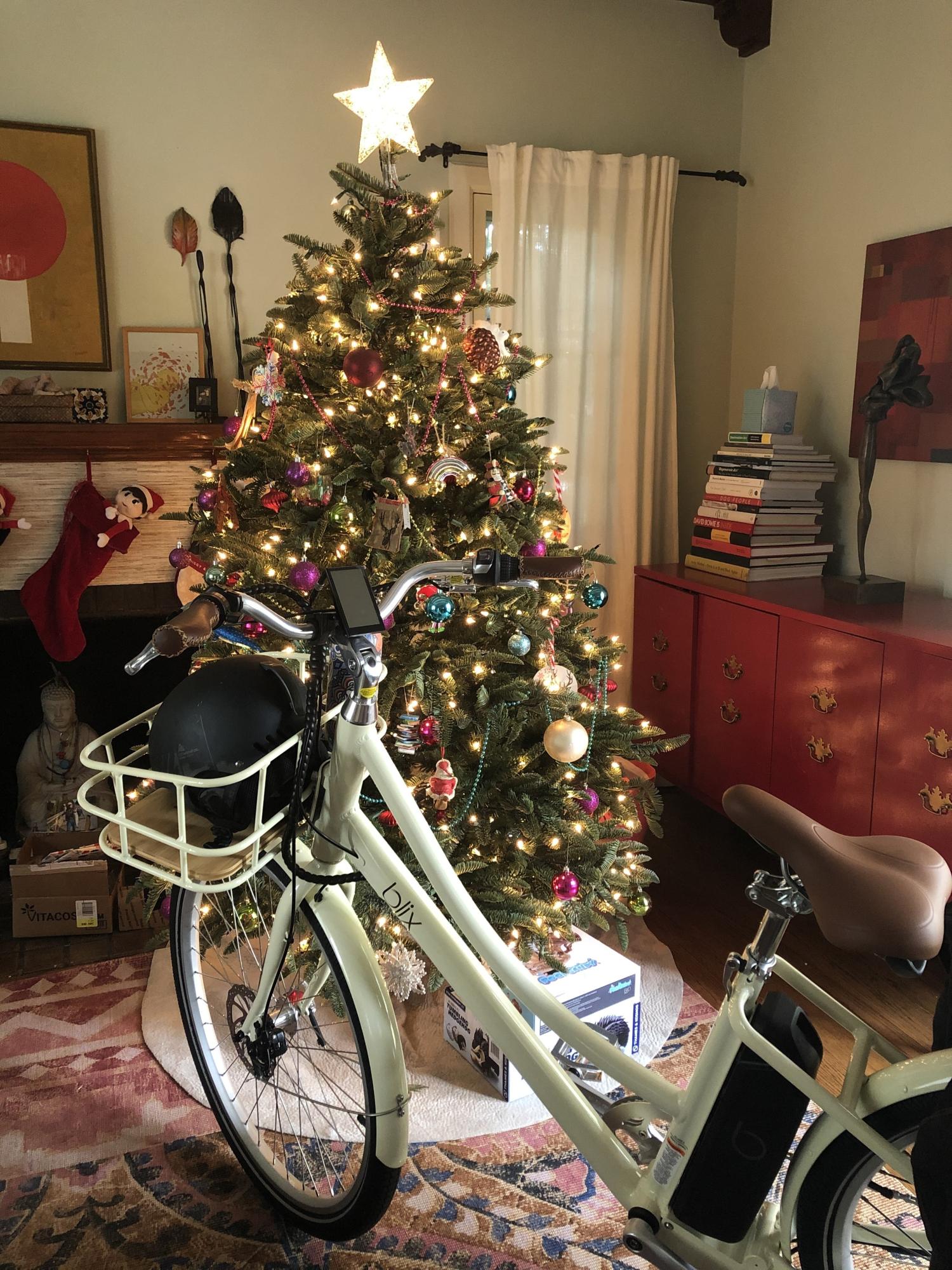 2021 Blix Aveny Skyline Commuter E-bike White and Green