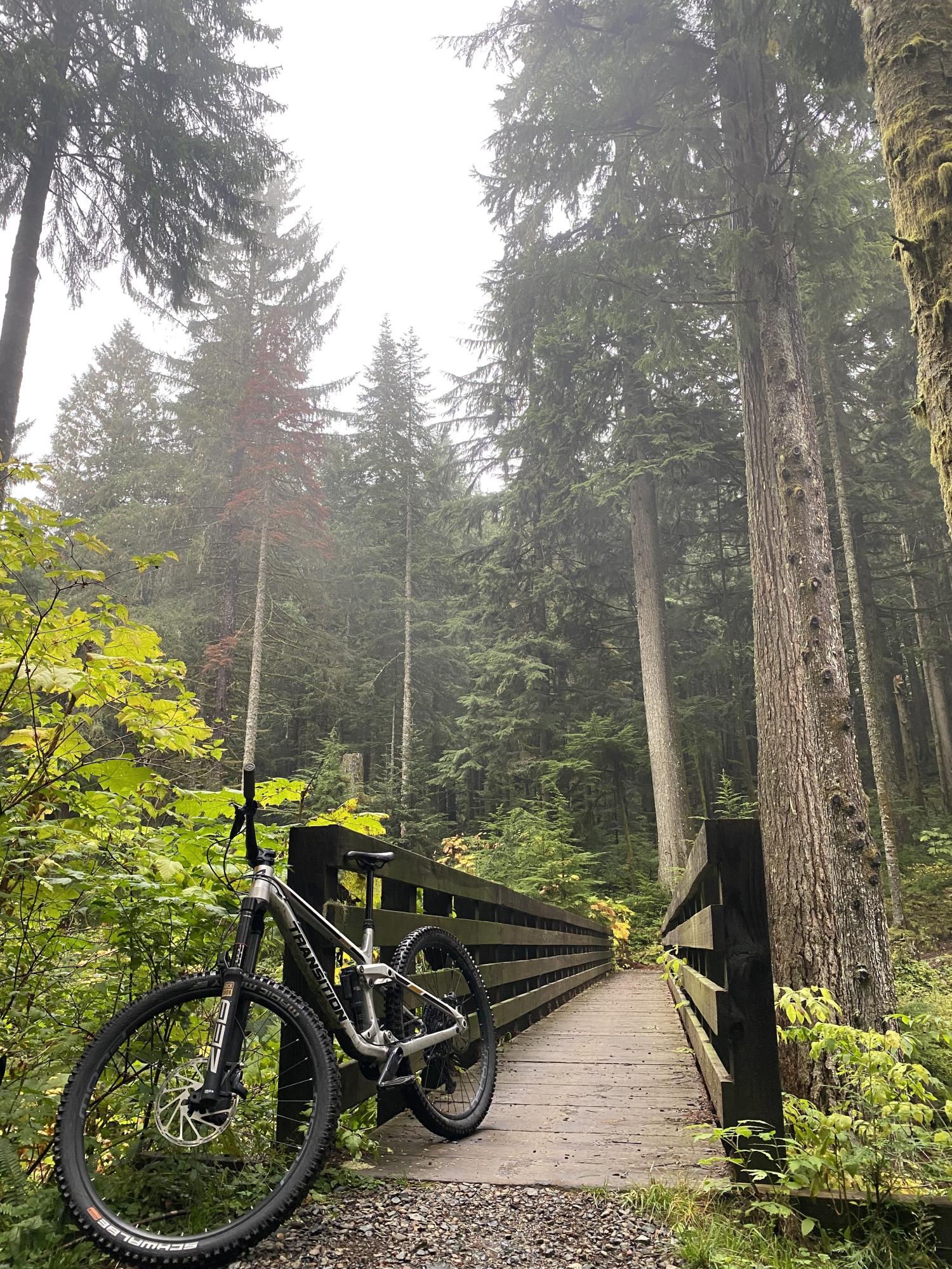 2022 Transition Bikes Spire Silver, gray or bare metal