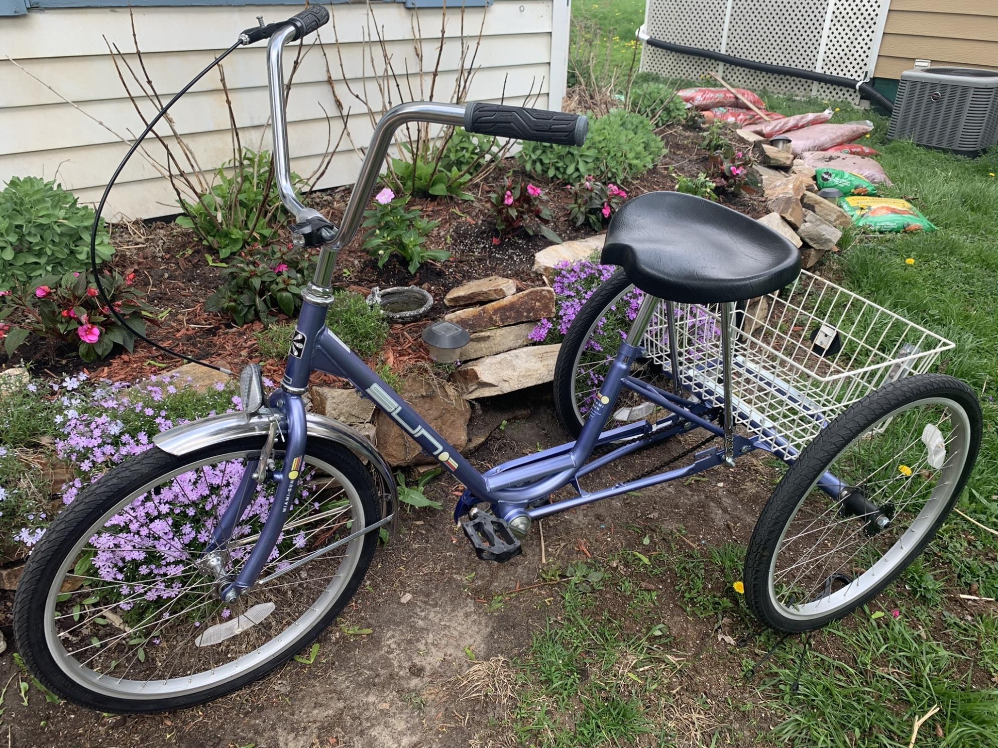 Other Miami Sun Cruiser tricycle Blue