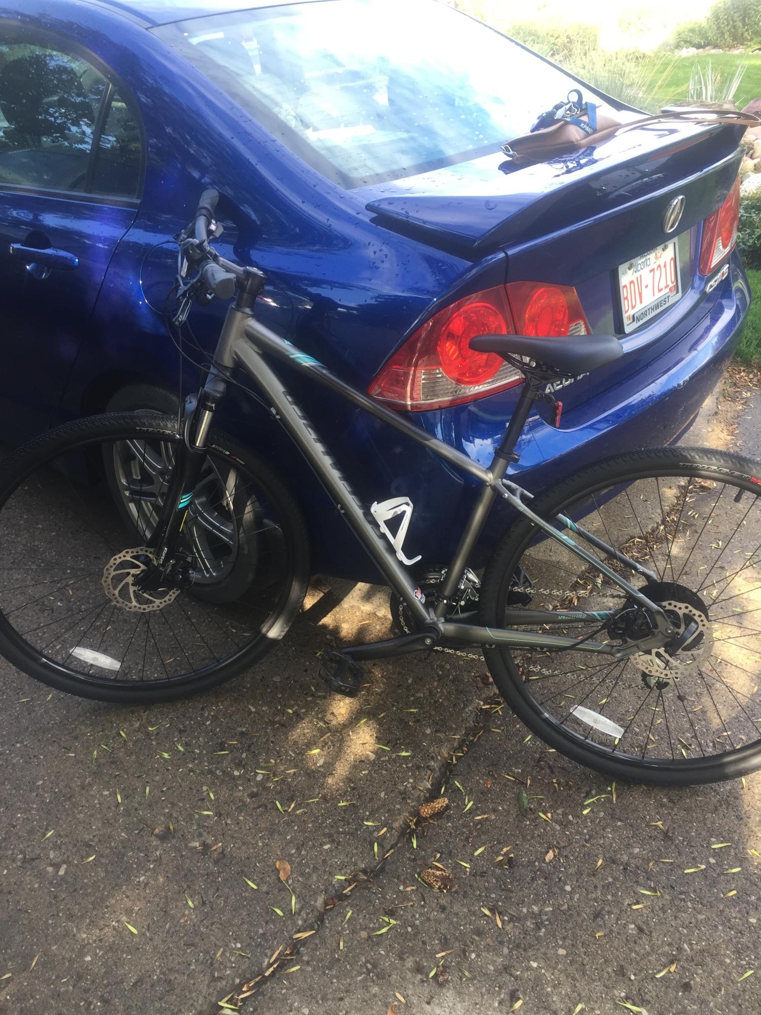 2016 Specialized Ariel Silver, gray or bare metal