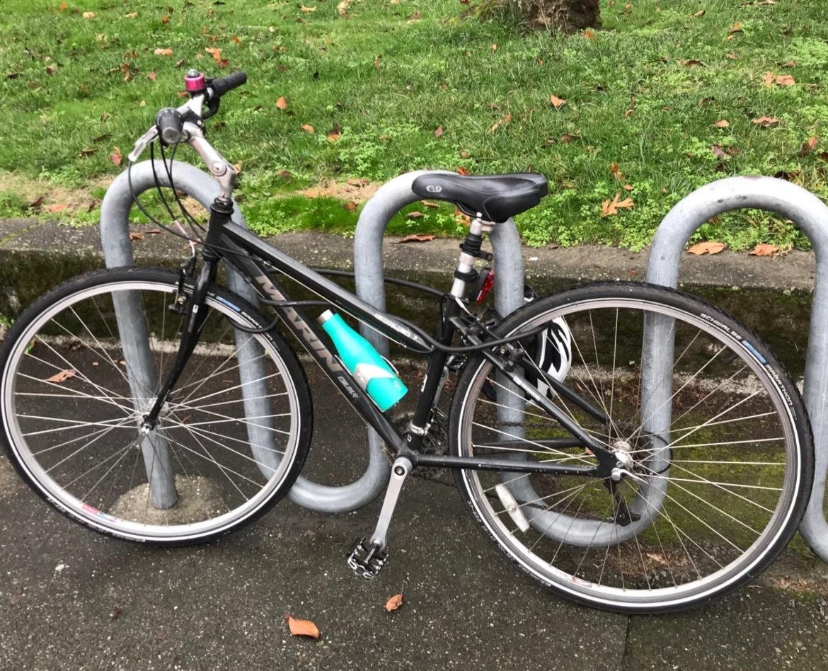Marin Bikes Black