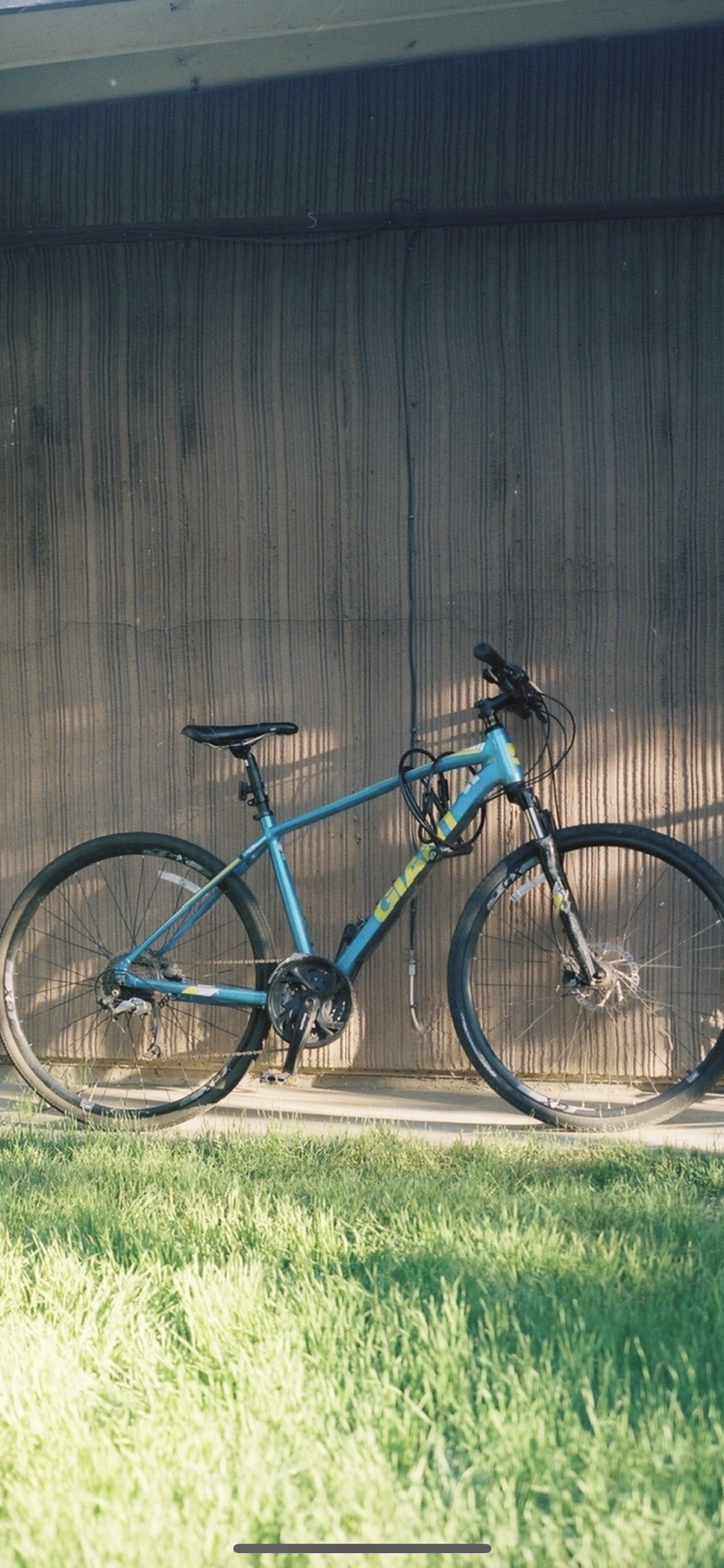 2017 Giant Hybrid Blue and Yellow or Gold