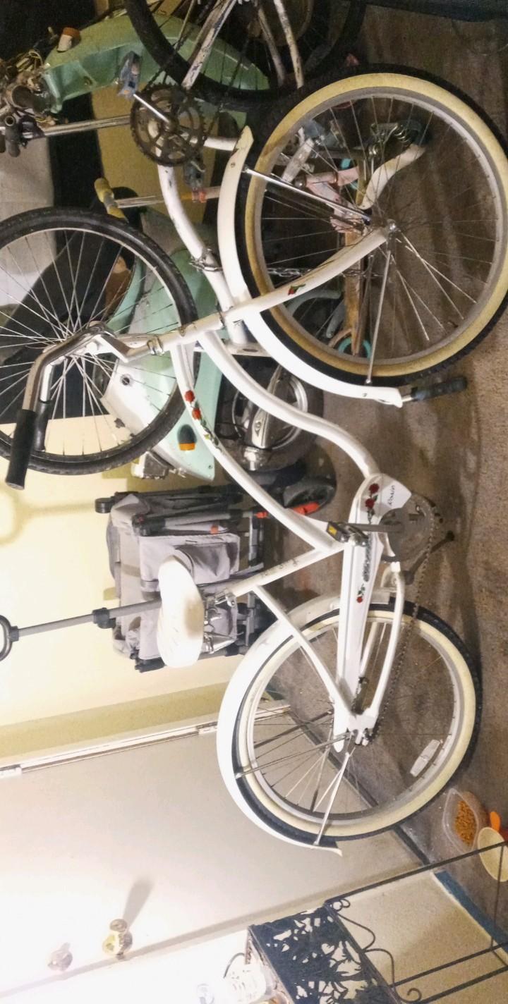 2022 Schwinn Beach Cruiser White