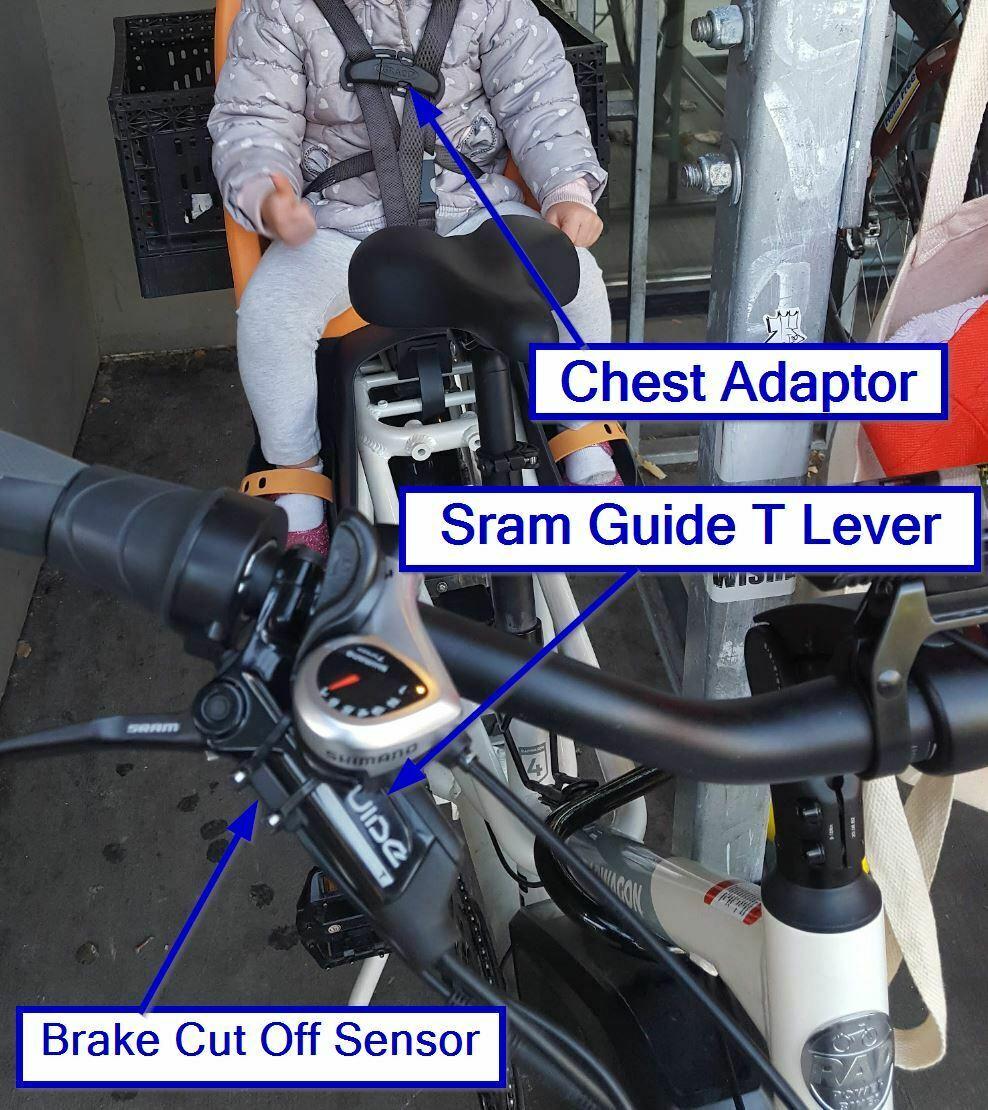 2021 Rad Power Bikes Rad Wagon 4 White