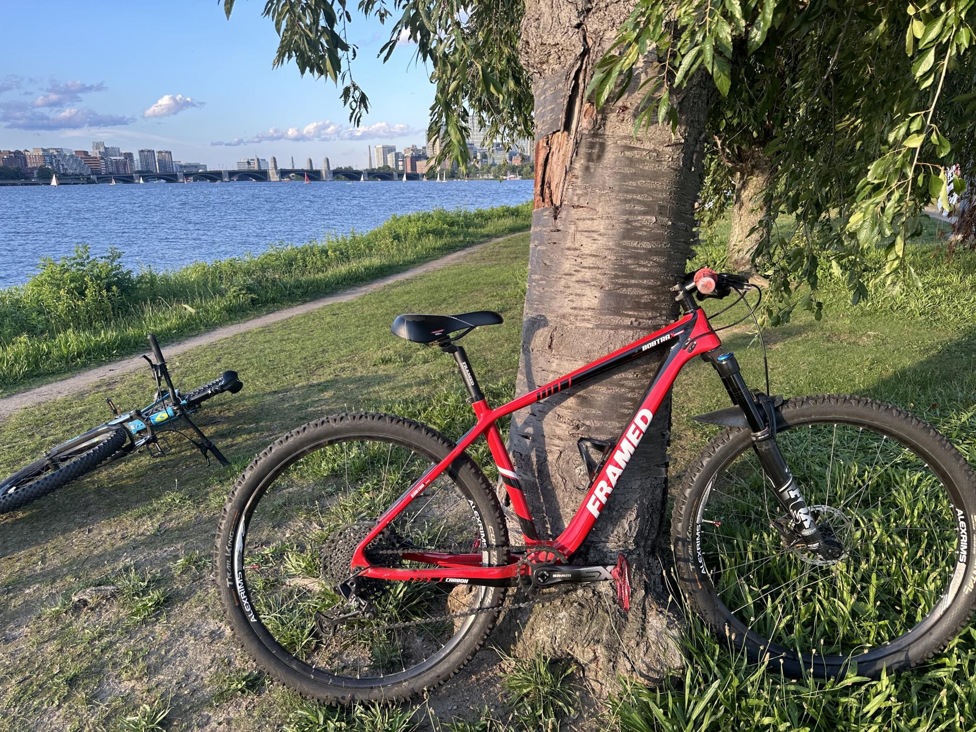 2019 FRAMED Bobtrax Red