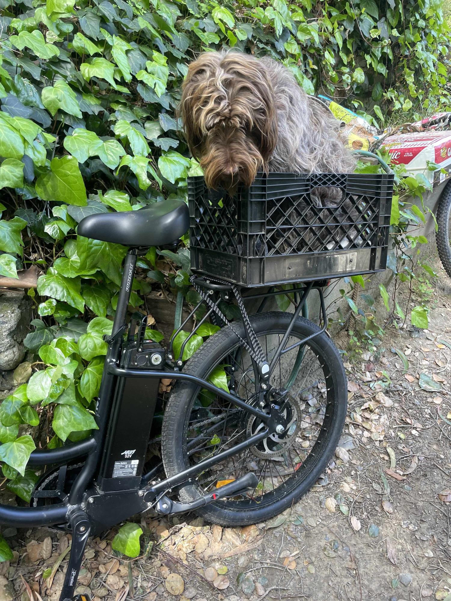 2023 Murf Izzy Step-Thru Black