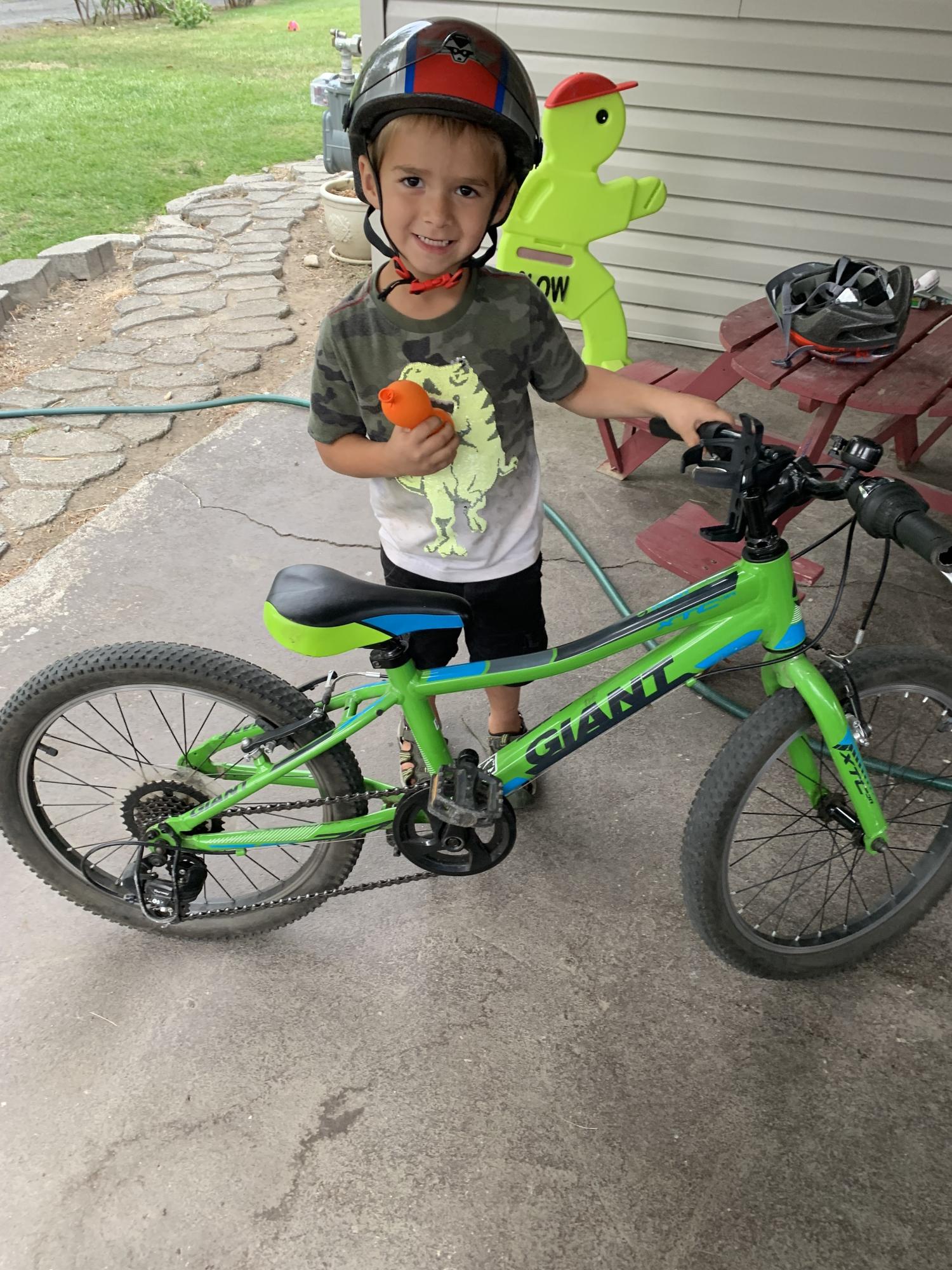 Giant Green, Blue, and Black