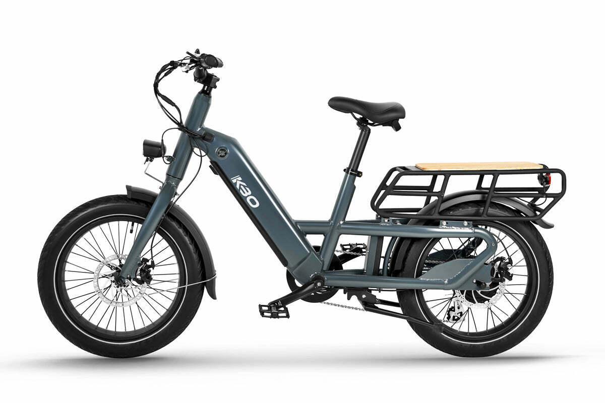 2022 Other Cargo wagon cargo bike (rear storage) Blue
