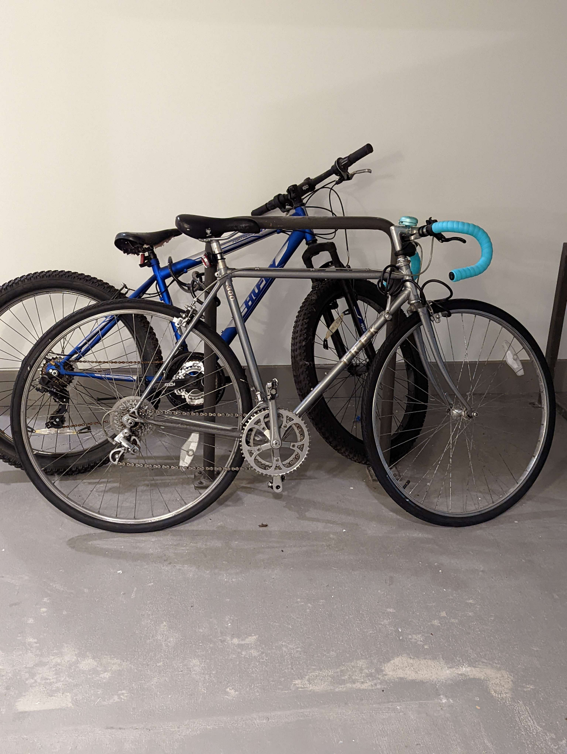 1986 Trek Elance 300 Silver, gray or bare metal