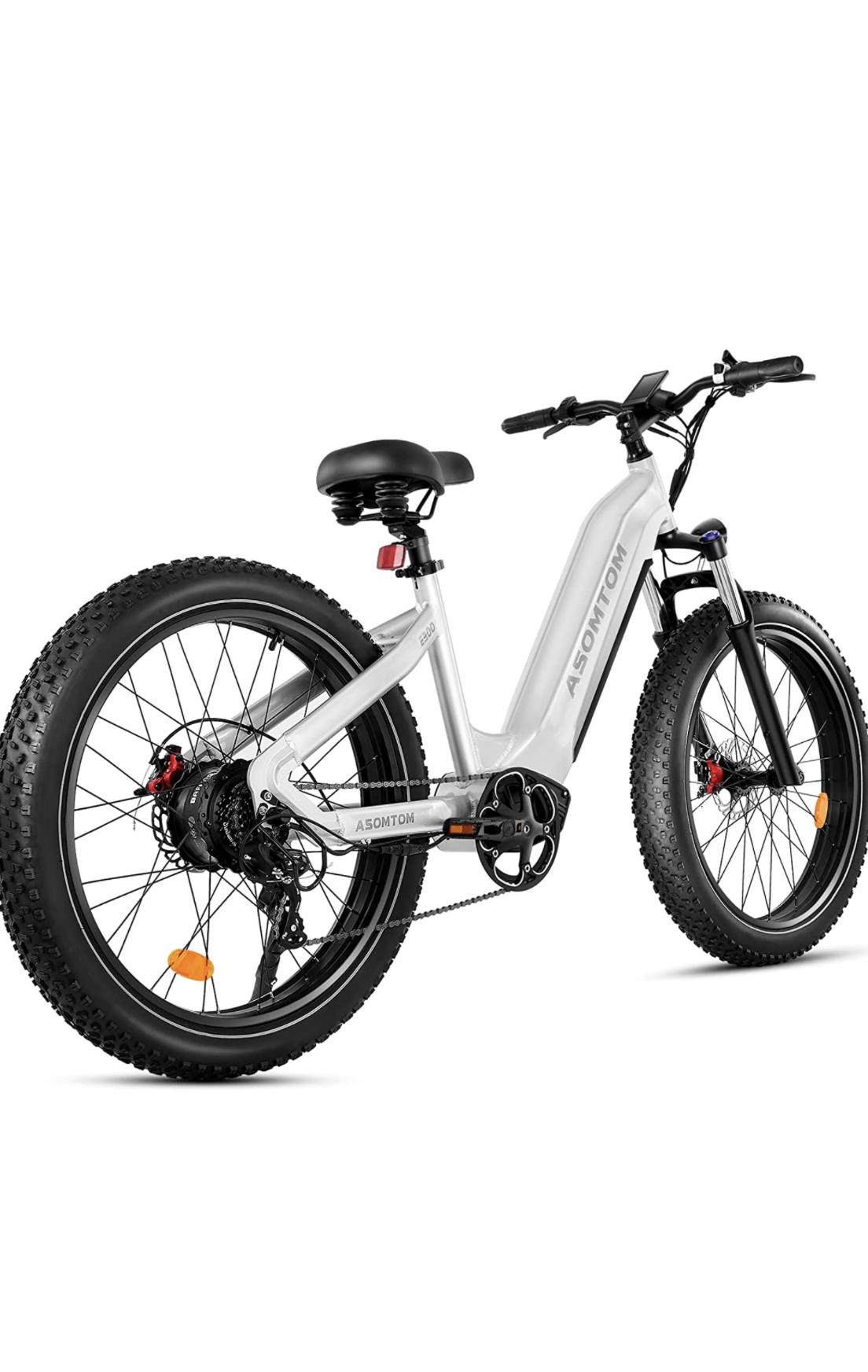 2022 Asomtom E300 Silver, gray or bare metal