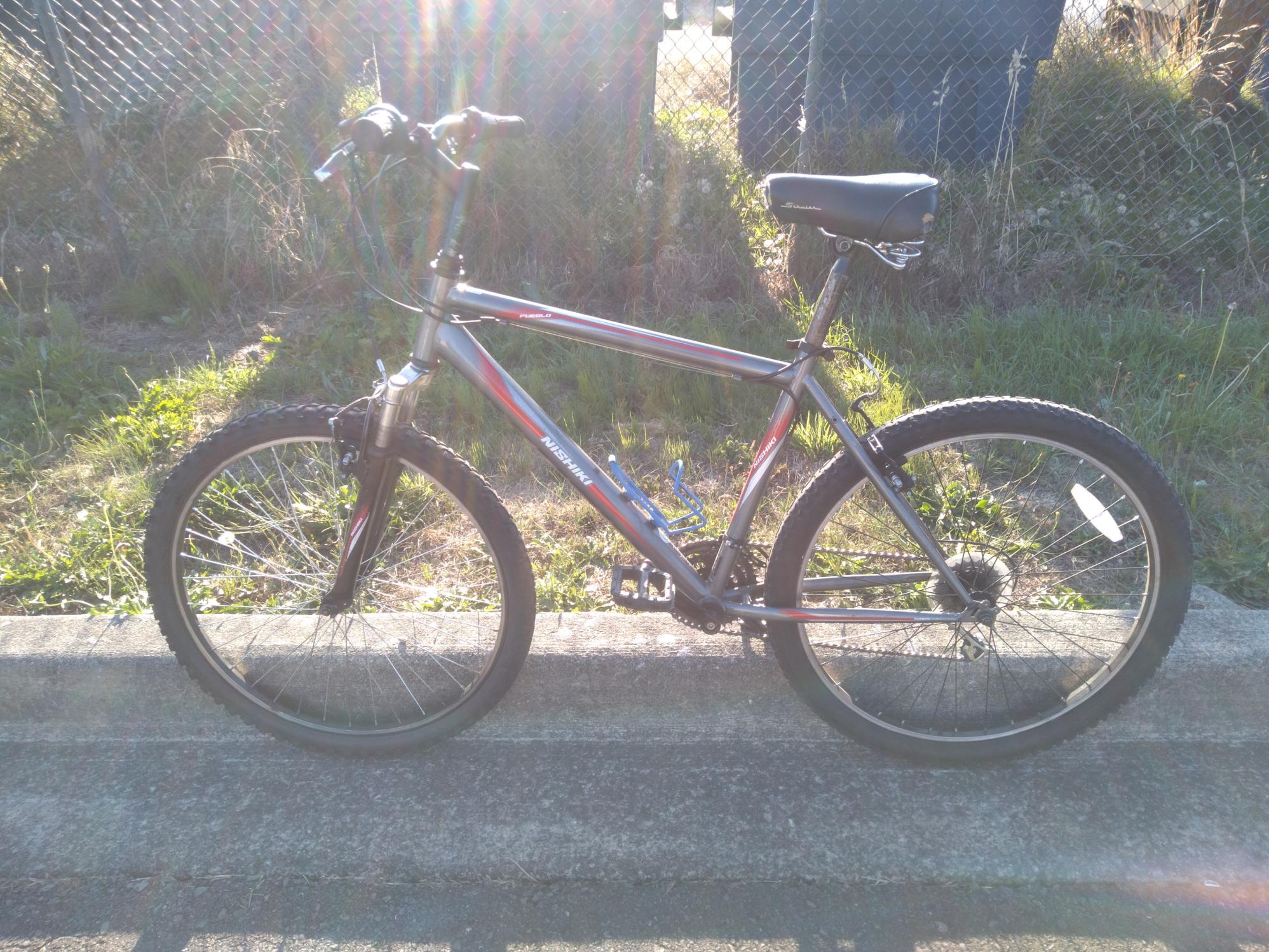 Nishiki Pueblo Silver, gray or bare metal