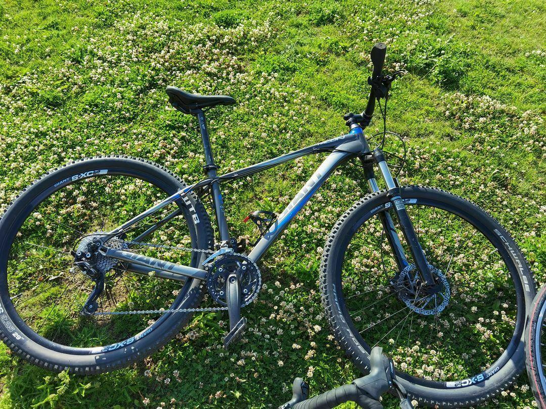 Giant Talon 29er 1 Blue and Silver, gray or bare metal