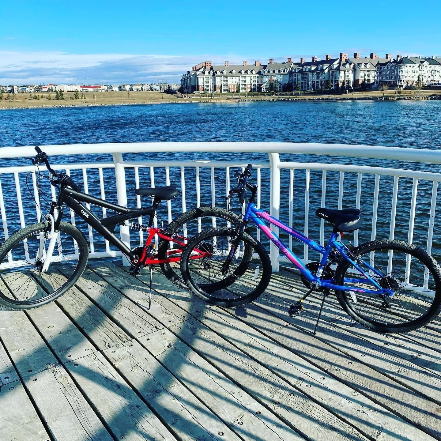 2021 Movelo hardtail steel frame Pink