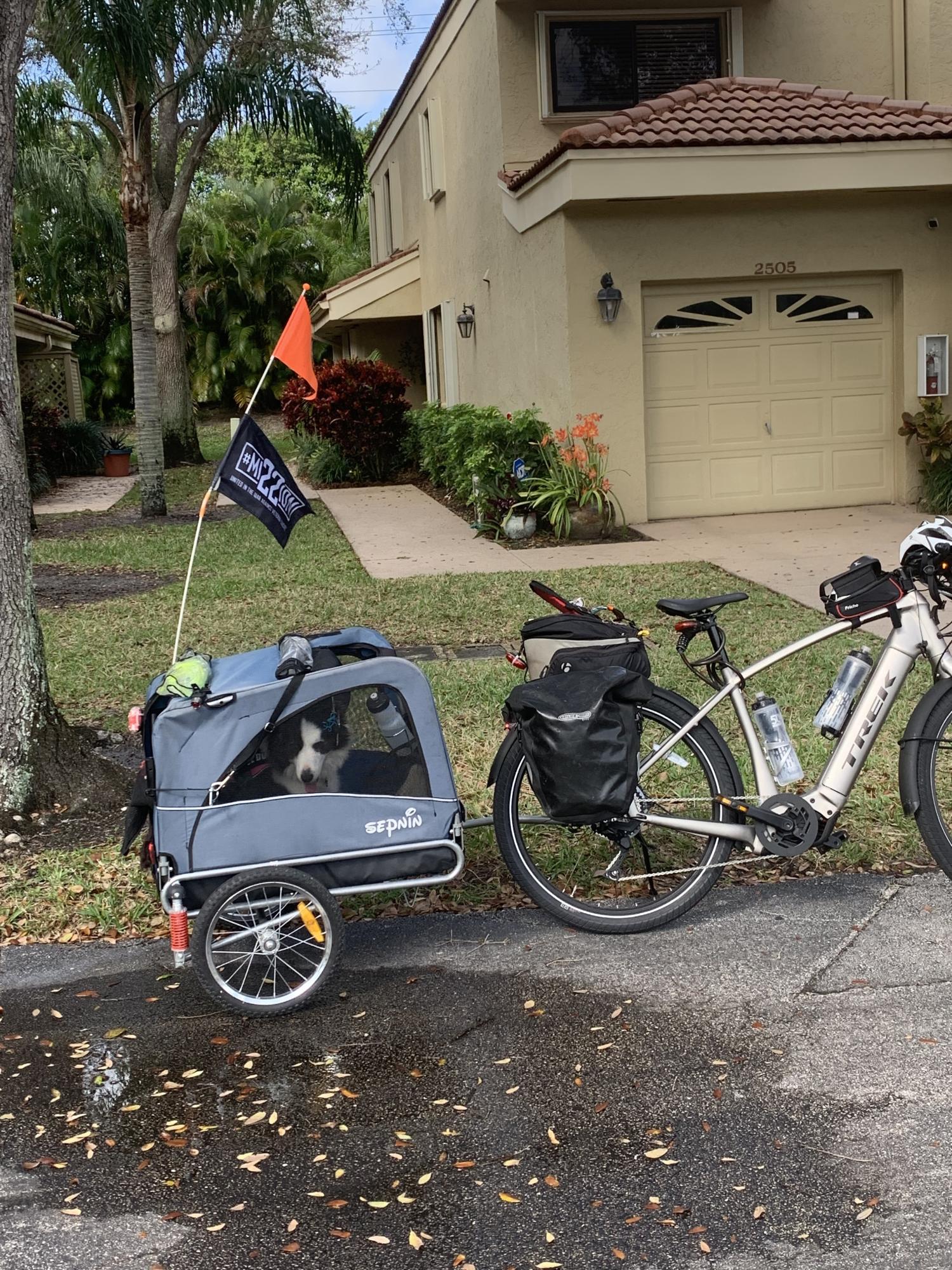 2018 Trek +8 Silver, gray or bare metal